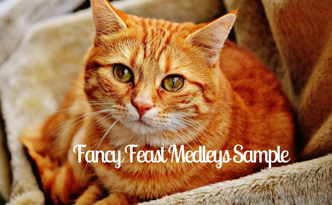 free fancy feast medleys sample cat samples samplethat